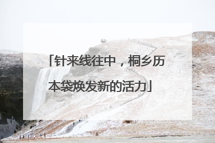 针来线往中，桐乡历本袋焕发新的活力
