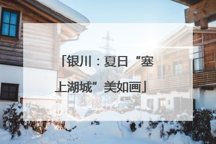 银川：夏日“塞上湖城”美如画