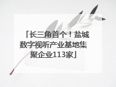 长三角首个！盐城数字视听产业基地集聚企业113家