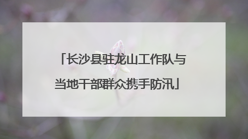 长沙县驻龙山工作队与当地干部群众携手防汛