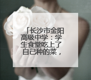 长沙市金阳高级中学：学生食堂吃上了自己种的菜，还出现了一批劳动能手