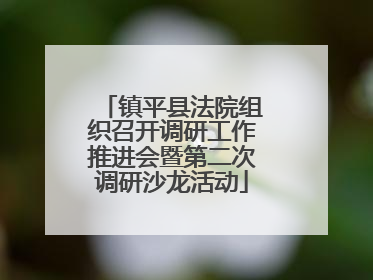 镇平县法院组织召开调研工作推进会暨第二次调研沙龙活动
