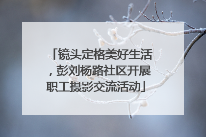 镜头定格美好生活，彭刘杨路社区开展职工摄影交流活动
