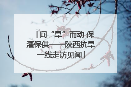 闻“旱”而动 保灌保供——陕西抗旱一线走访见闻