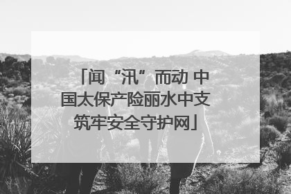 闻“汛”而动 中国太保产险丽水中支筑牢安全守护网