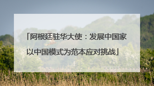 阿根廷驻华大使：发展中国家以中国模式为范本应对挑战