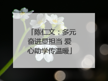 陈仁文：多元奋进显担当 爱心助学传温暖