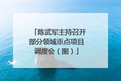 陈武军主持召开部分领域重点项目调度会（图）
