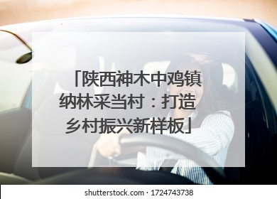 陕西神木中鸡镇纳林采当村：打造乡村振兴新样板