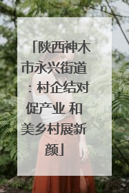 陕西神木市永兴街道：村企结对促产业 和美乡村展新颜