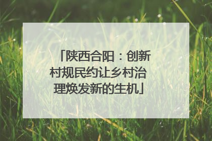 陕西合阳：创新村规民约让乡村治理焕发新的生机