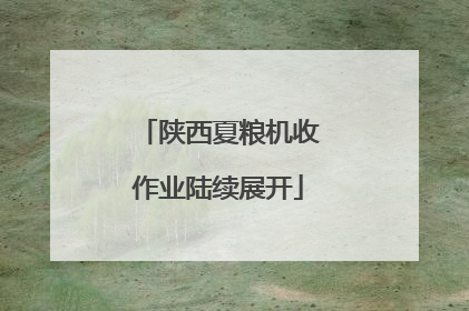 陕西夏粮机收作业陆续展开