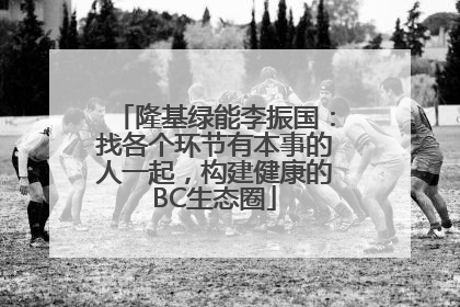 隆基绿能李振国：找各个环节有本事的人一起，构建健康的BC生态圈