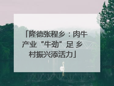 隆德张程乡：肉牛产业“牛劲”足 乡村振兴添活力