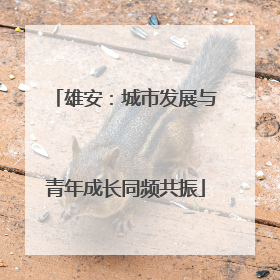 雄安：城市发展与青年成长同频共振