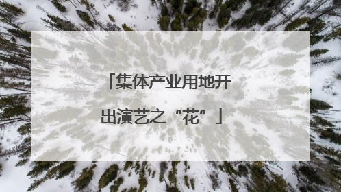集体产业用地开出演艺之“花”