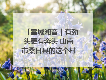 雪域湘音｜有劲头更有奔头 山南市桑日县的这个村落迎来蜕变