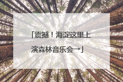 震撼！海淀这里上演森林音乐会→