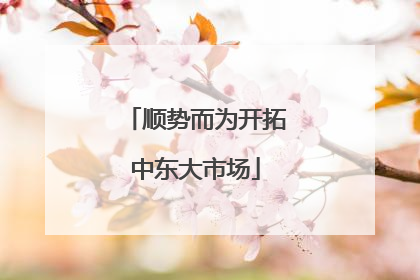 顺势而为开拓中东大市场