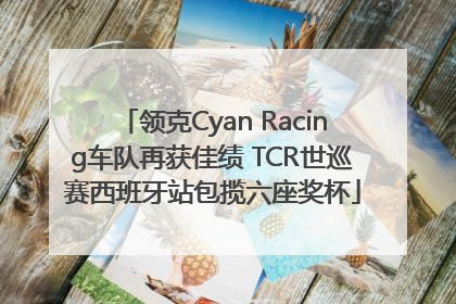 领克Cyan Racing车队再获佳绩 TCR世巡赛西班牙站包揽六座奖杯