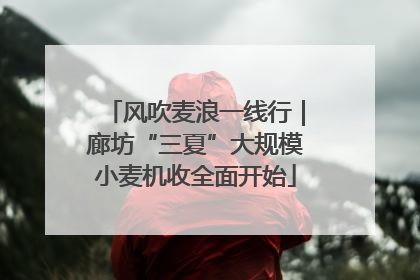 风吹麦浪一线行｜廊坊“三夏”大规模小麦机收全面开始