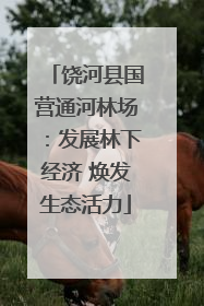 饶河县国营通河林场：发展林下经济 焕发生态活力