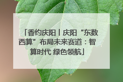 香约庆阳丨庆阳“东数西算”布局未来赛道：智算时代 绿色领航