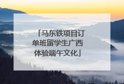 马东铁项目订单班留学生广西体验端午文化
