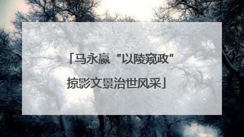 马永嬴“以陵窥政” 掠影文景治世风采