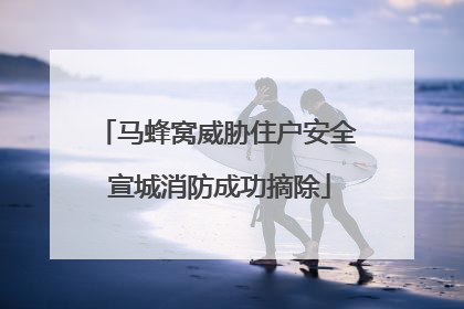 马蜂窝威胁住户安全 宣城消防成功摘除