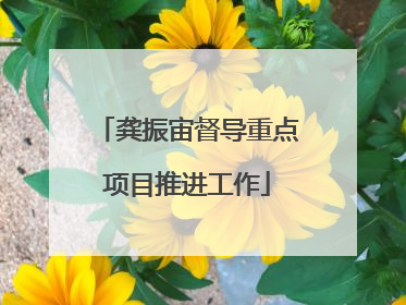 龚振宙督导重点项目推进工作