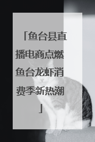 鱼台县直播电商点燃鱼台龙虾消费季新热潮