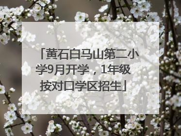 黄石白马山第二小学9月开学，1年级按对口学区招生