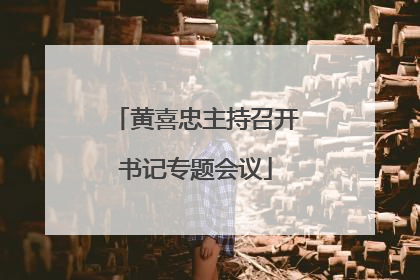 黄喜忠主持召开书记专题会议