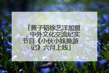 黄子韬徐艺洋加盟，中外文化交流纪实节目《小伙小妹换游记》六月上线