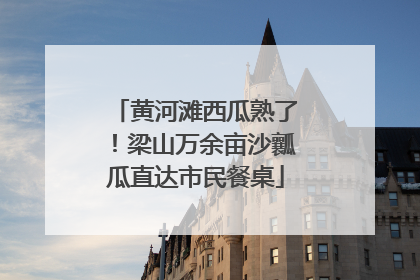 黄河滩西瓜熟了！梁山万余亩沙瓤瓜直达市民餐桌