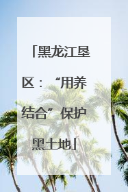 黑龙江垦区：“用养结合”保护黑土地