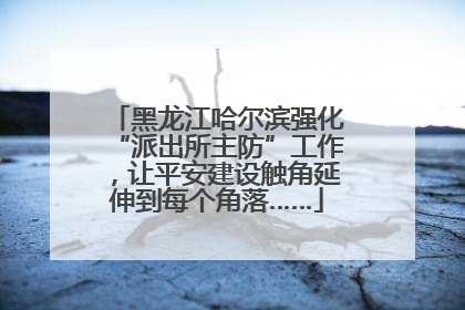 黑龙江哈尔滨强化“派出所主防”工作，让平安建设触角延伸到每个角落……