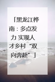 黑龙江桦南：多点发力 实现人才乡村“双向奔赴”