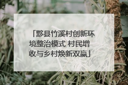 黟县竹溪村创新环境整治模式 村民增收与乡村焕新双赢