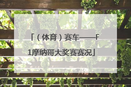 （体育）赛车——F1摩纳哥大奖赛赛况