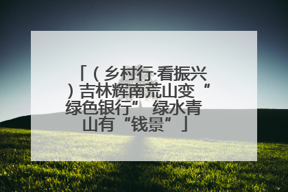 （乡村行·看振兴）吉林辉南荒山变“绿色银行” 绿水青山有“钱景”
