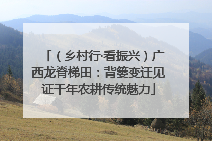 （乡村行·看振兴）广西龙脊梯田：背篓变迁见证千年农耕传统魅力