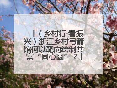 (乡村行·看振兴)浙江乡村弓箭馆何以靶向绘制共富“同心圆”?
