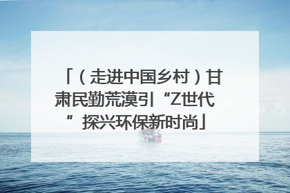 （走进中国乡村）甘肃民勤荒漠引“Z世代”探兴环保新时尚