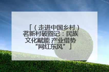 （走进中国乡村）茗新村破圈记：民族文化赋能 产业借势 “网红东风”