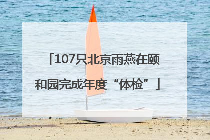 107只北京雨燕在颐和园完成年度“体检”
