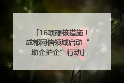 16项硬核措施！成都网信领域启动“助企护企”行动