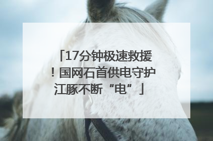 17分钟极速救援！国网石首供电守护江豚不断“电”