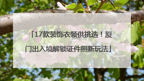 17款装饰衣领供挑选！厦门出入境解锁证件照新玩法